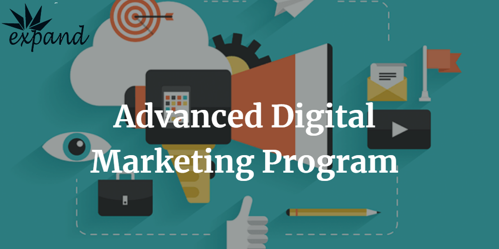 Advanced Digital Marketing Program