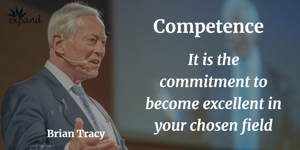 become excellent in your chosen field